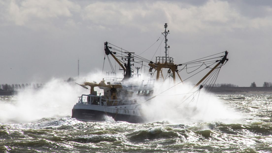 Vissersschip op de Westerschelde