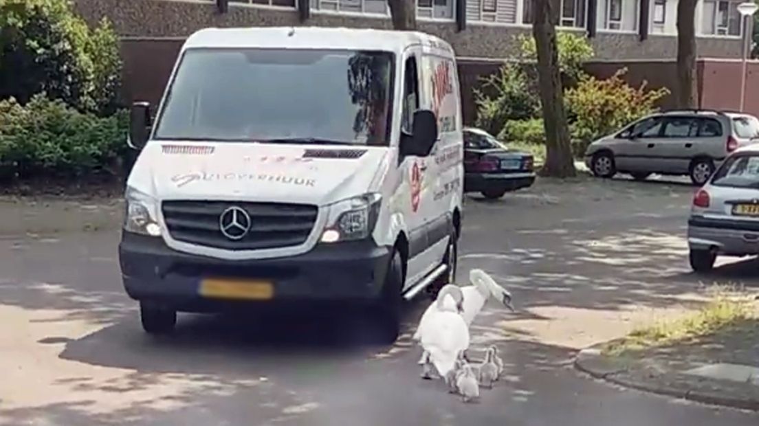 Beelden van de aanrijding