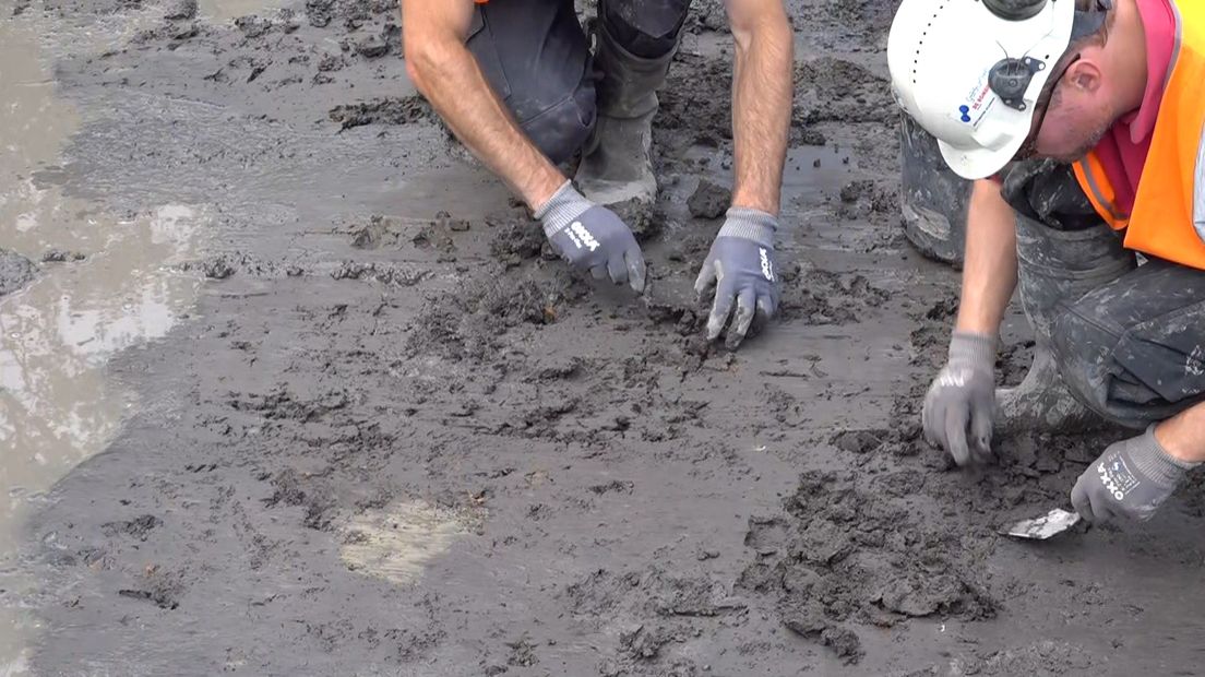 Archeologen aan het werk op de wierde bij Adorp