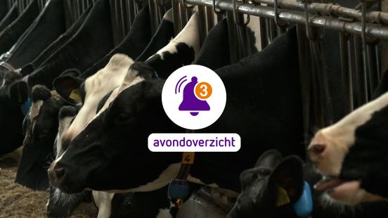 Boeren uitkopen had beter gekund, en een drukke dag voor politie en justitie