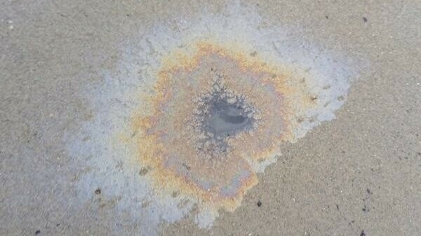 Gelekte olie uit Antwerpse haven bedreigt Zeeuwse natuurgebieden: 'We hebben geen idee wat er nog drijft'