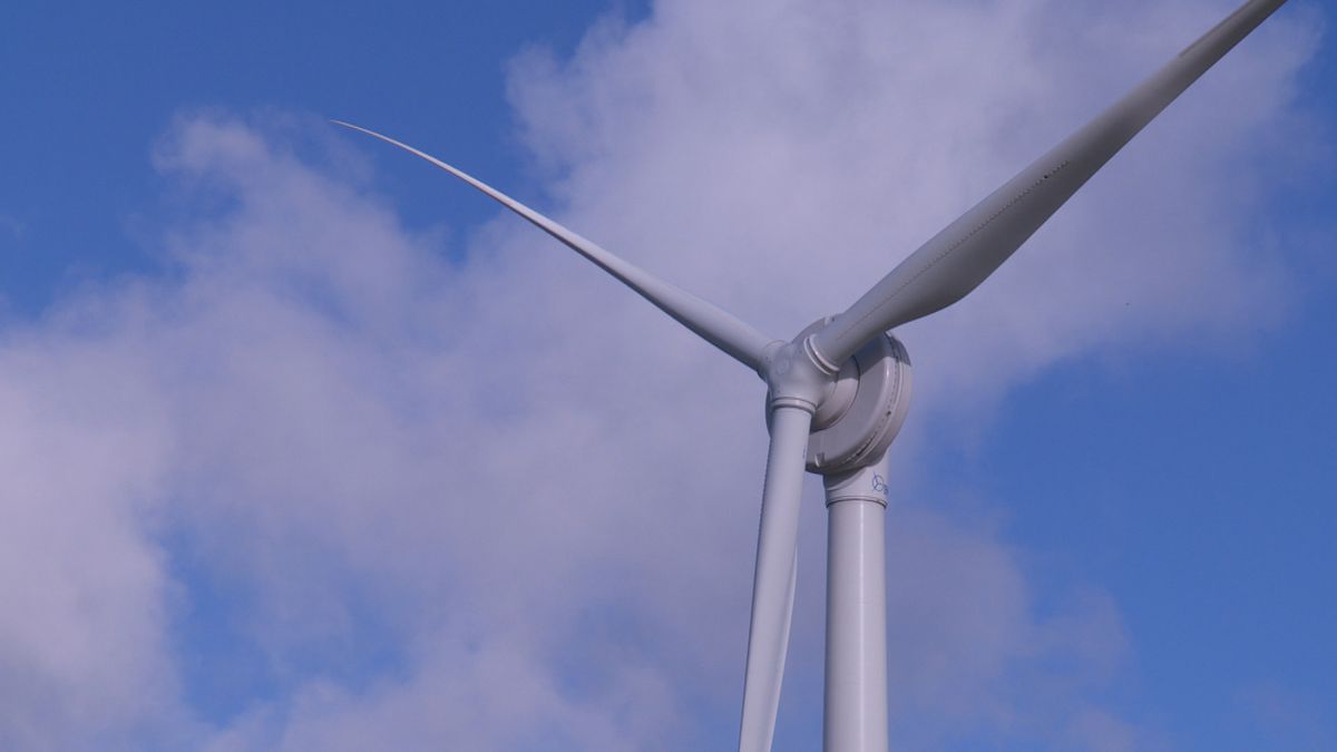 Dorpsmolen Reduzum staat al een week stil: 