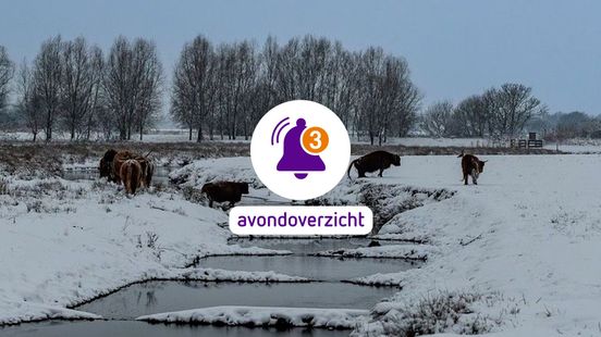 Ongelukken door sneeuw, celstraffen en zorgvilla sluit op donderdag sluit op donderdag 29 januari