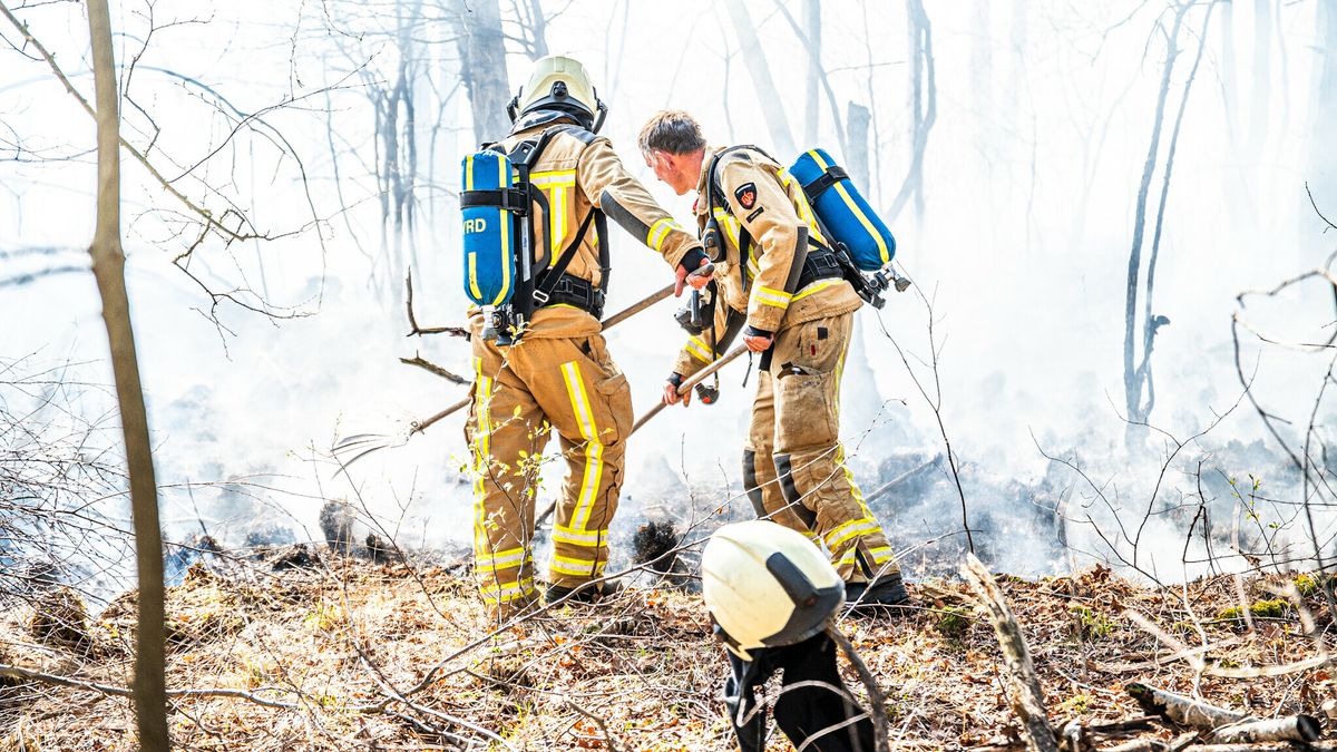 Tientallen brandweerlieden blussen brand op het Dwingelderveld