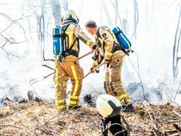 Tientallen brandweerlieden blussen brand op het Dwingelderveld