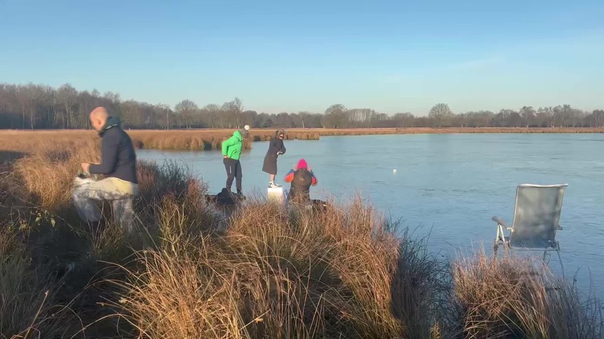 Schaatser ondiepe plassen