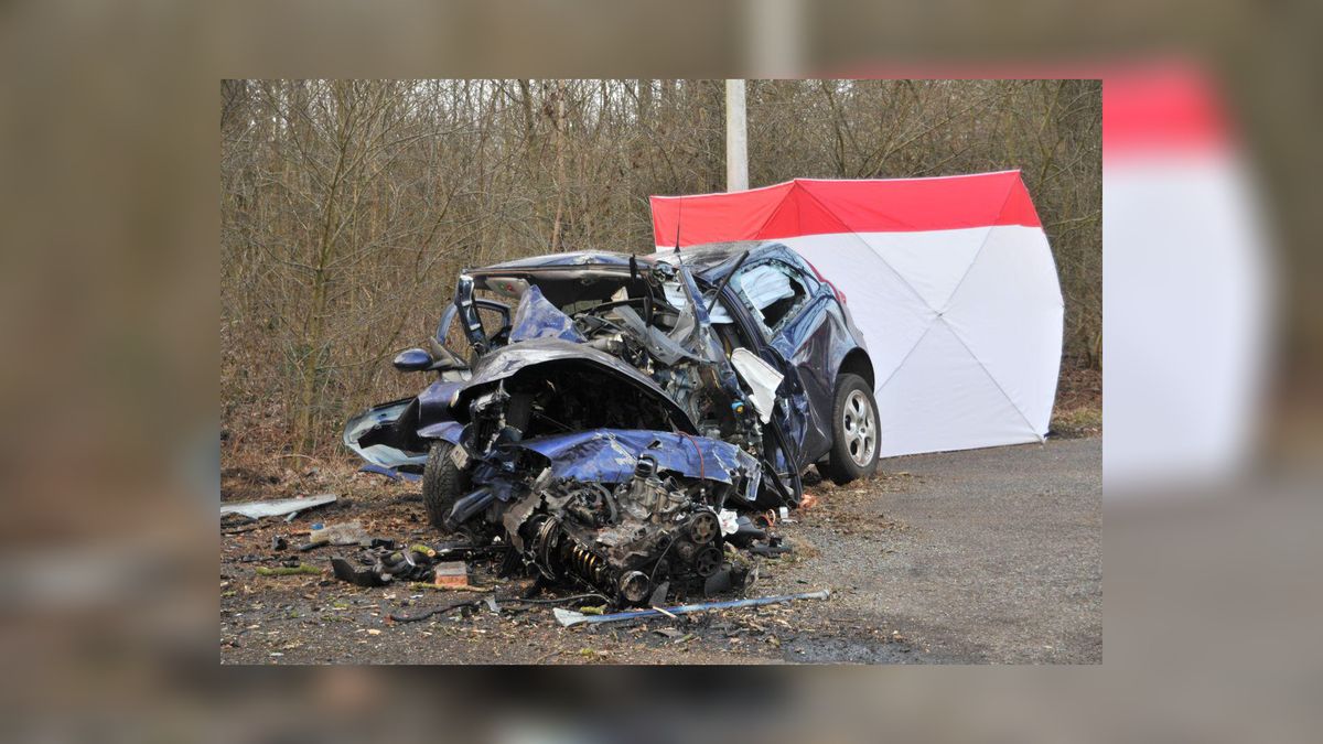 Bestuurder overlijdt bij auto-ongeluk Waskemeer