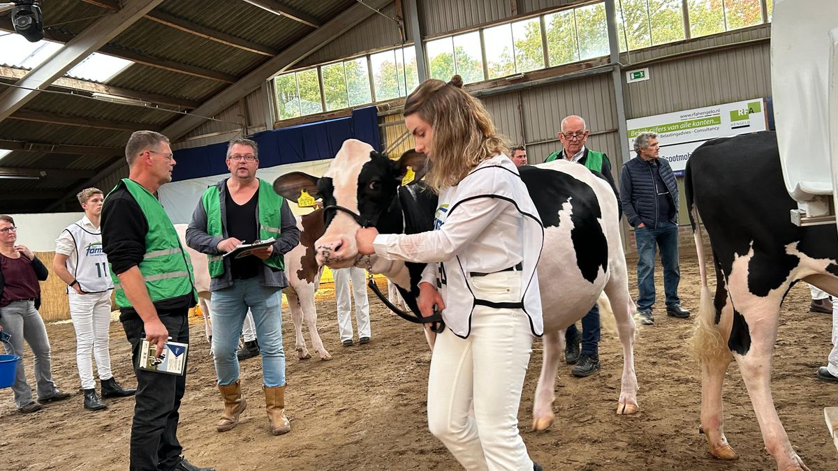 Twentse After Summer Show weer groot succes: 'Alles voor de mooiste koe'