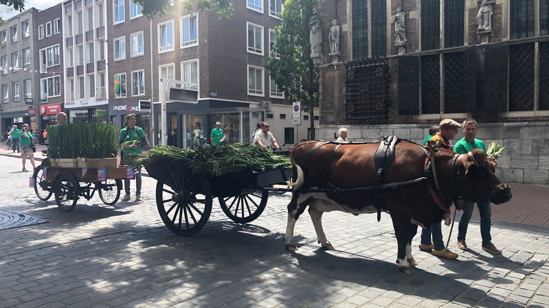 Boeren lopen met kar vol gladiolen door Nijmegen.