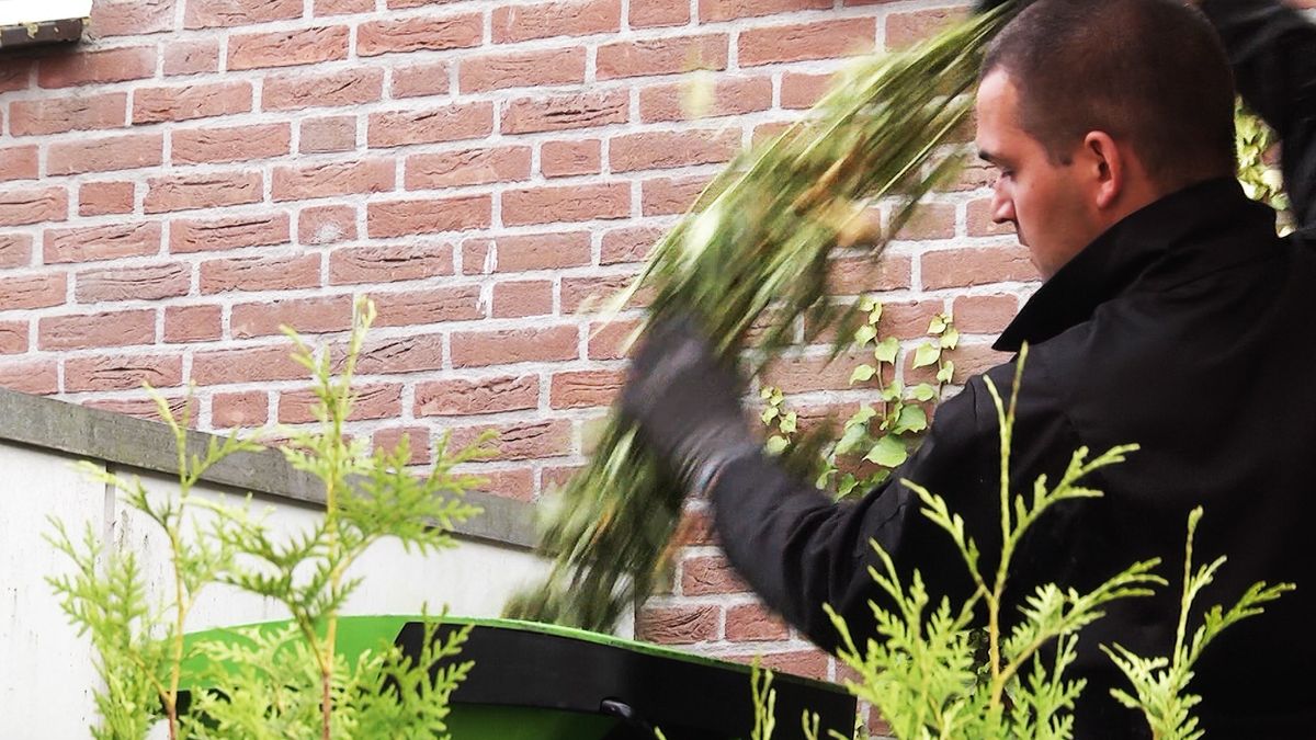 Hoogevener heeft hennepkwekerij in Friesland