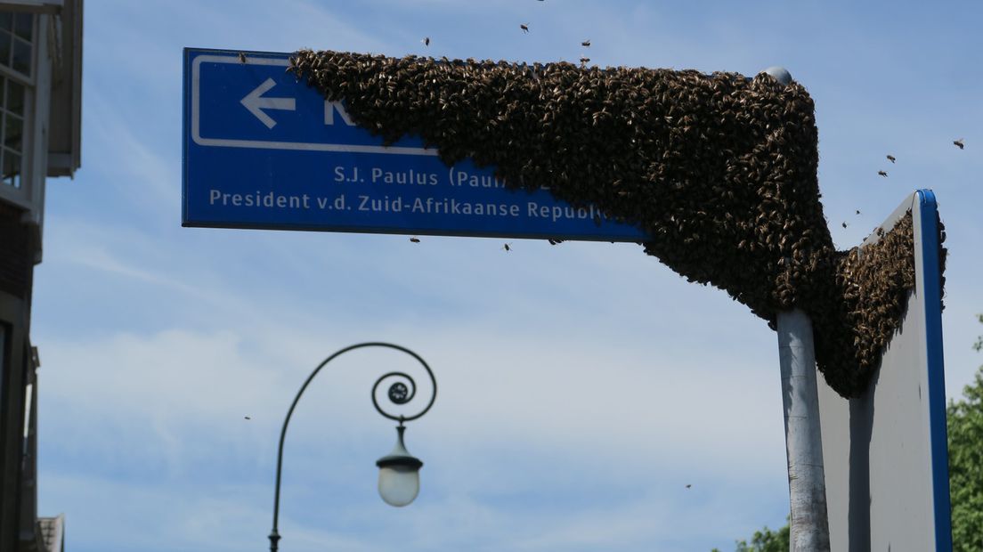 Rob van Dam legde vast hoe de bijen zich nestelden op een verkeersbord