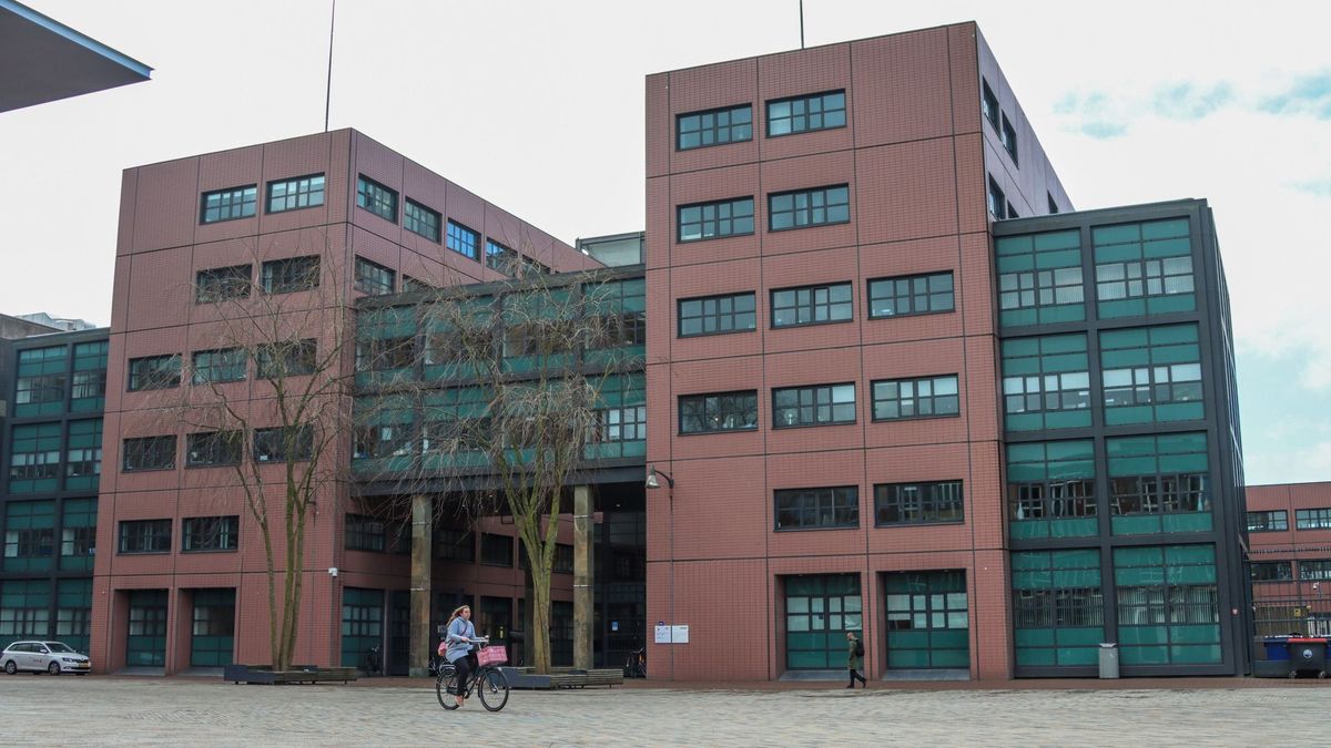 Man uit Holwerd zes maanden de cel in na veroorzaken dodelijk ongeval