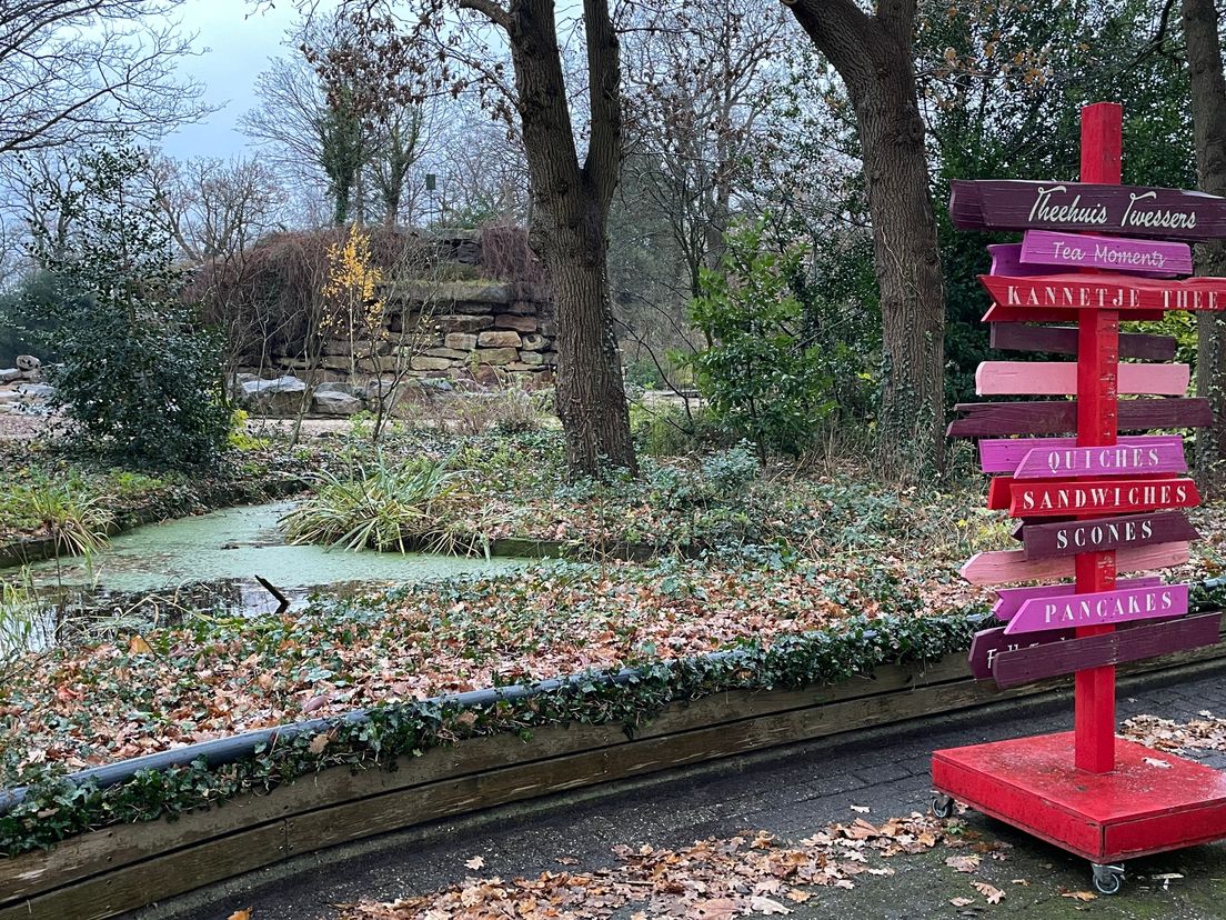 Oud-wethouder Otter kritisch op zichzelf rond komst Rensenpark: 'Ik ben losgekomen van de realiteit'