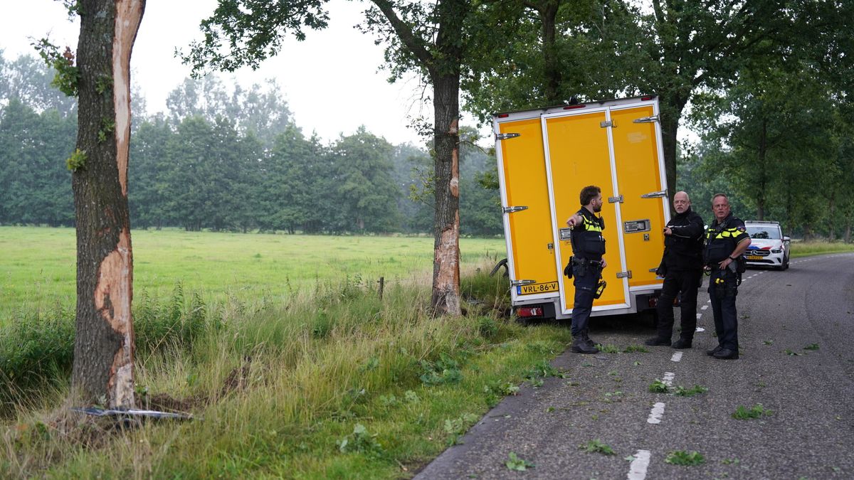 Bestuurder bestelbus rijdt bij Zweeloo tegen boom en raakt gewond