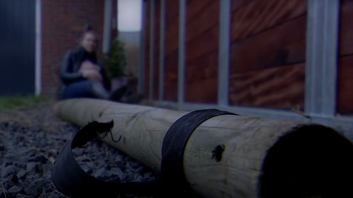 Dubbele mishandeling Borgsweer opnieuw in Opsporing Verzocht