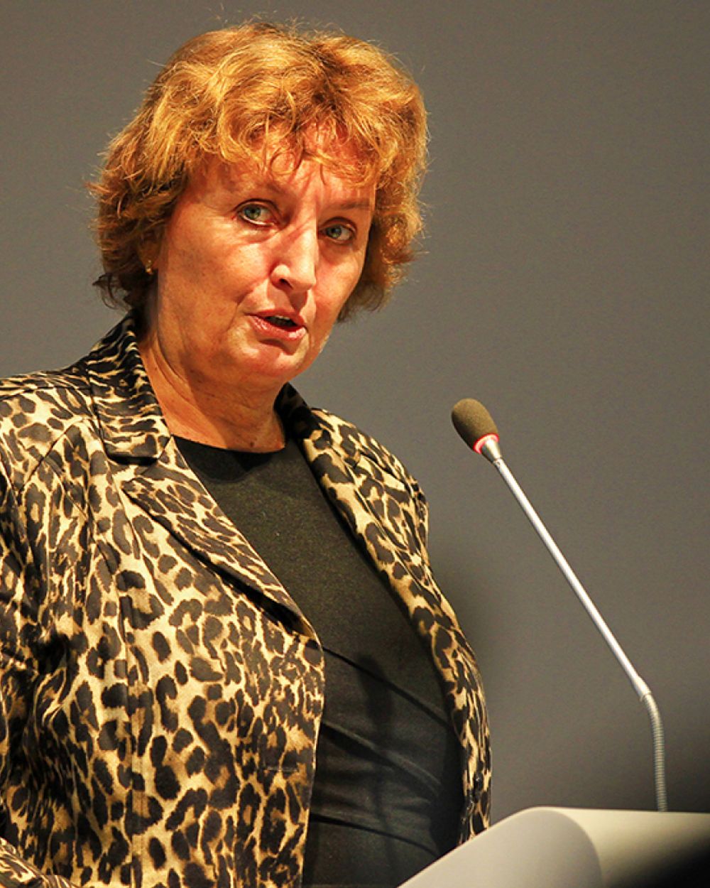 Alphen moet op zoek naar nieuwe burgemeester, Liesbeth Spies vertrekt