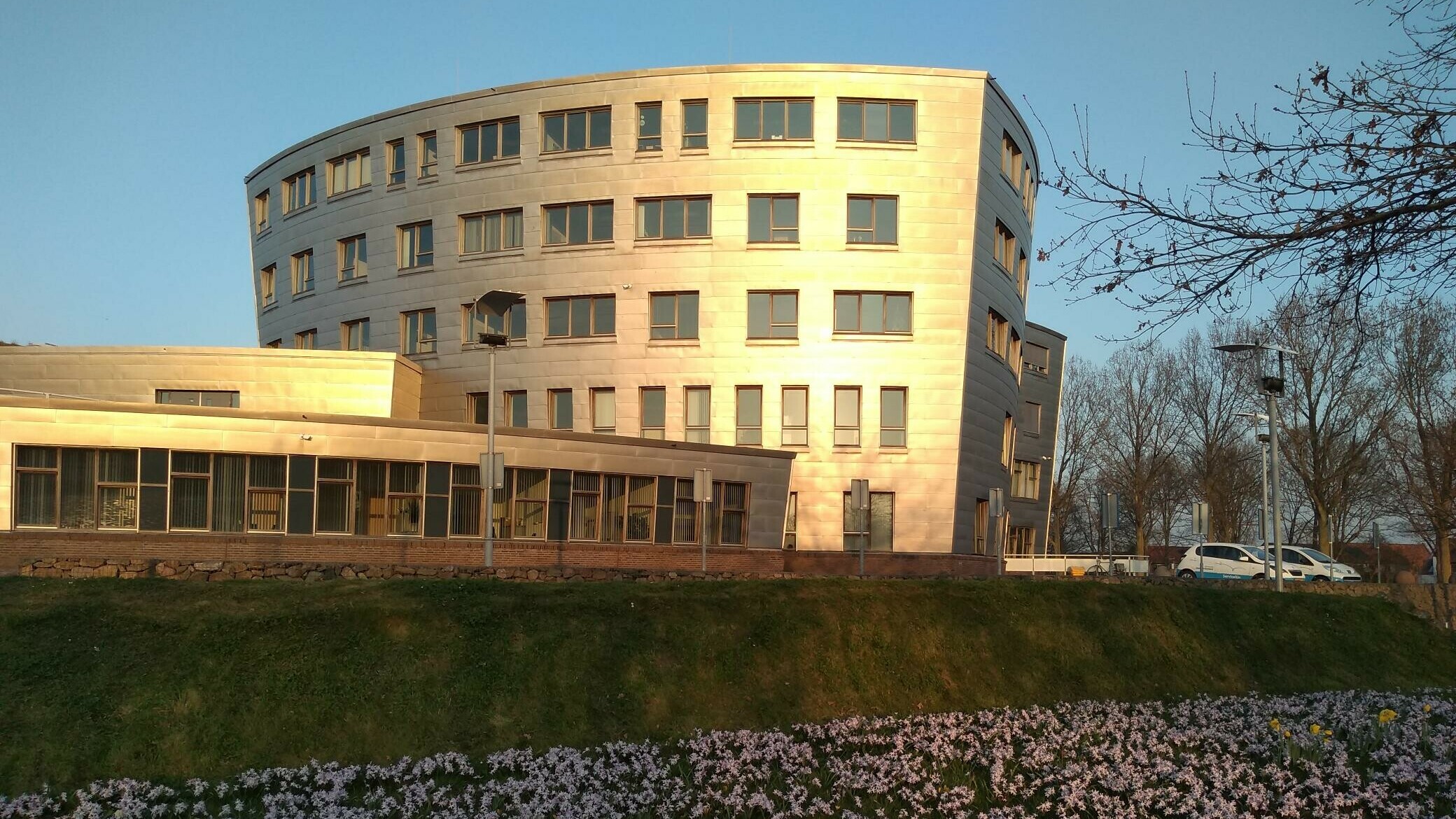 VVD definitief niet in Schouws college • Tholen stelt nieuwe wethouder voor