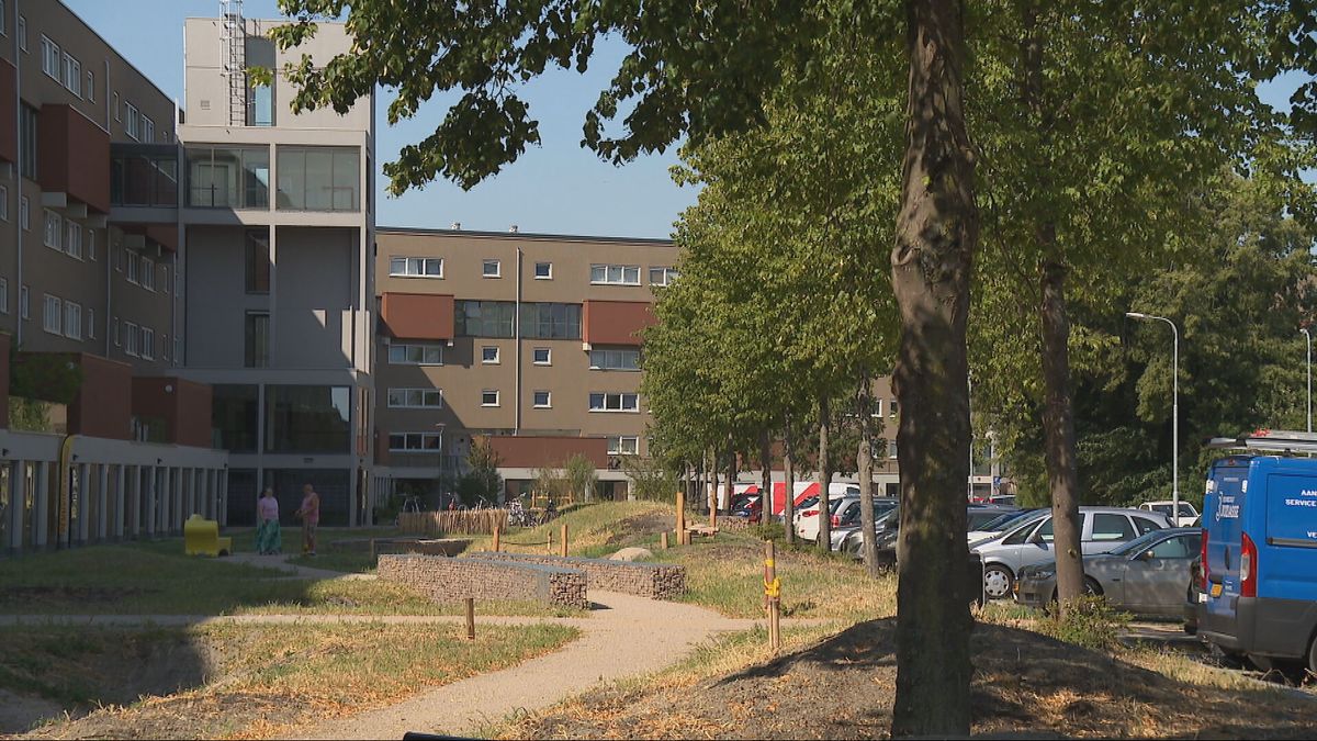 Meer groen voor Middelburg: '30 procent van de woon-werkomgeving onder een bladerdak'