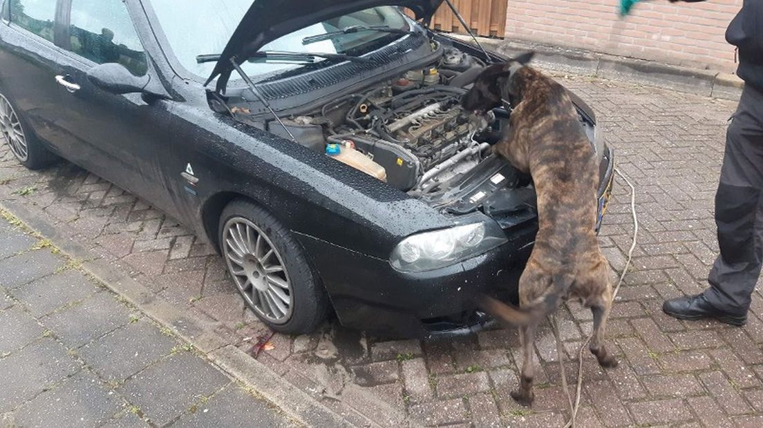 Drugshond zoekt naar drugs in auto verdachten.