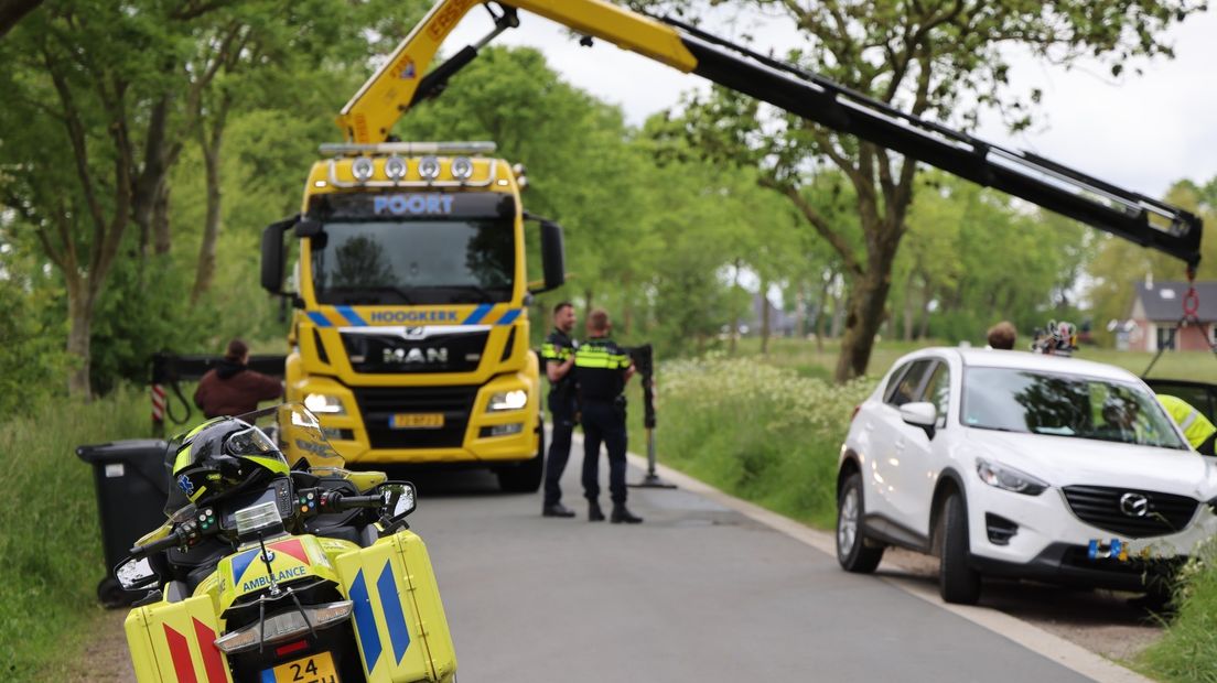 De berger aan het werk in Noordwolde