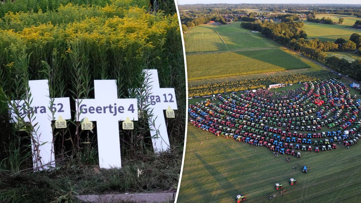 Boerenprotesten: zichtacties, 'koeienbegraafplaats' en brandjes langs wegen