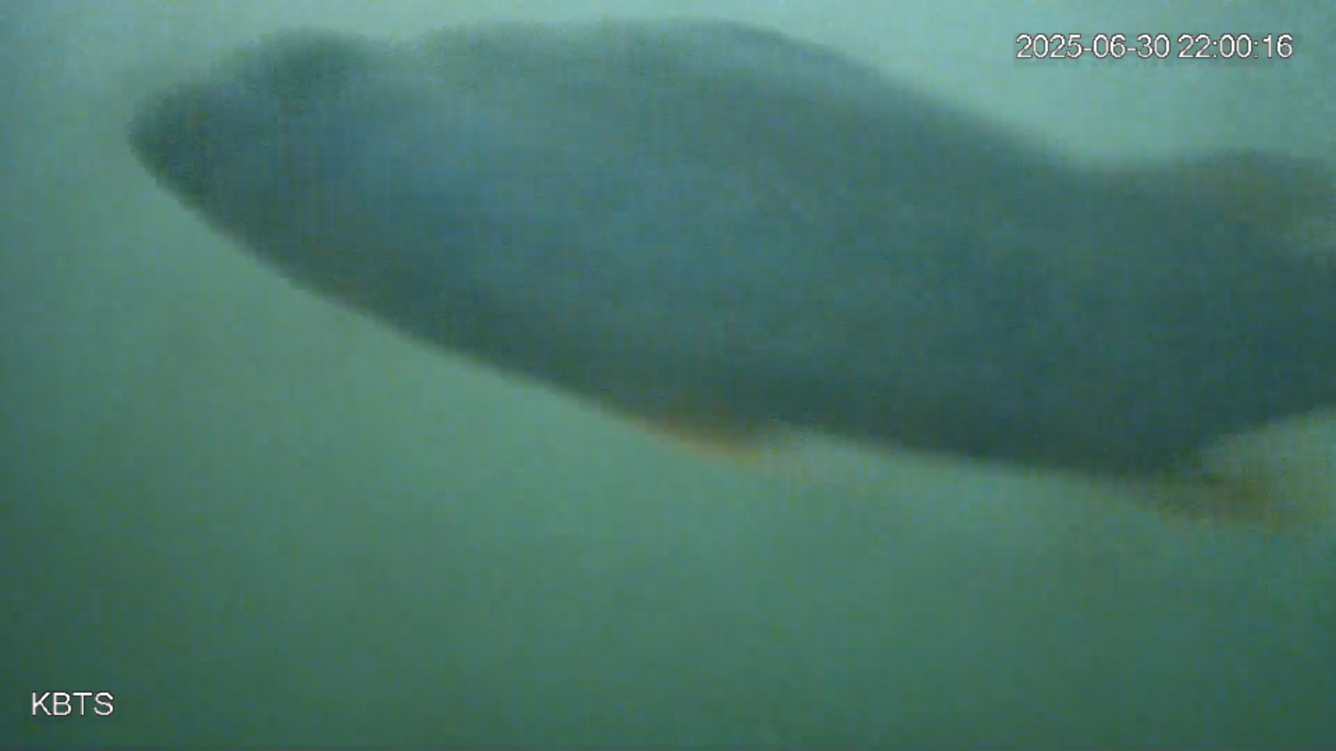 Water visdeurbelcamera kleurt van blauw naar bruin en weer terug