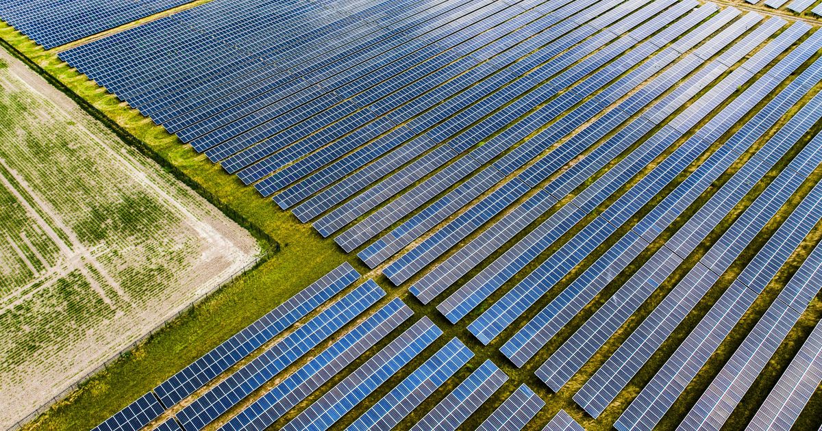 Velden vol zonnepanelen langs snelweg, gemeenten willen het graag