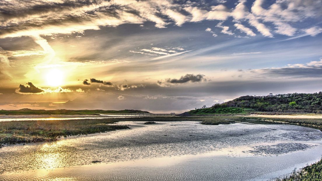 Een winters zonnetje boven natuurgebied het Zwin