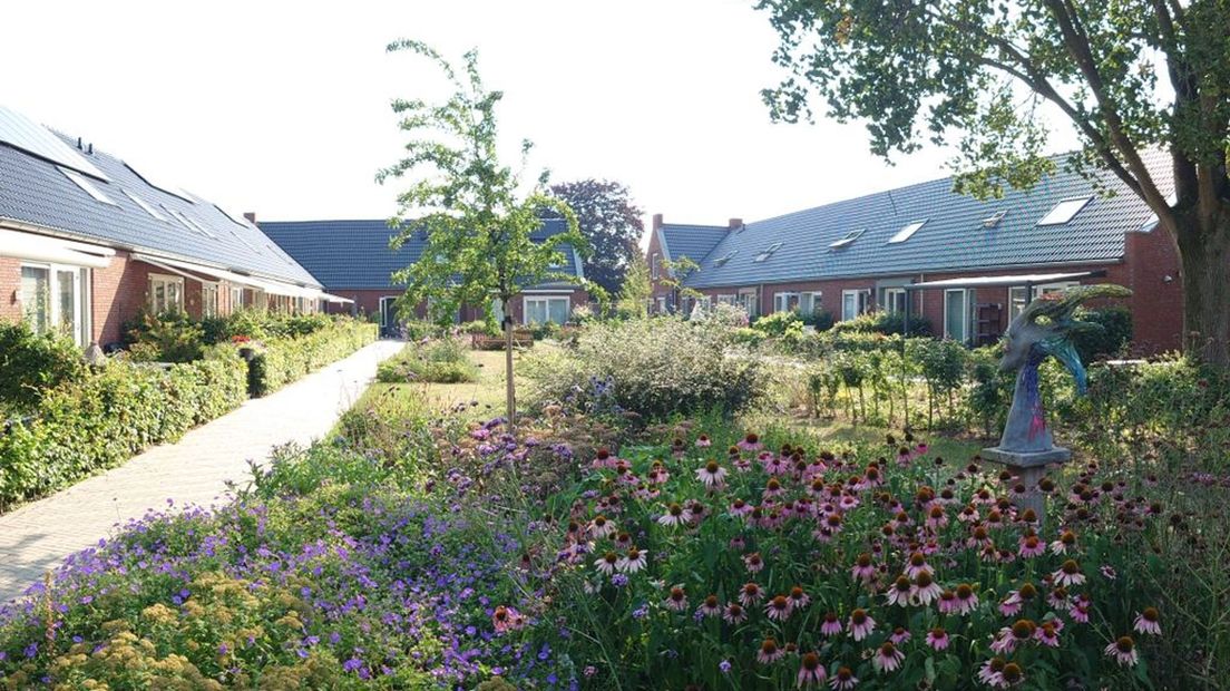Bloementuin van het Knarrenhof in Zwolle.