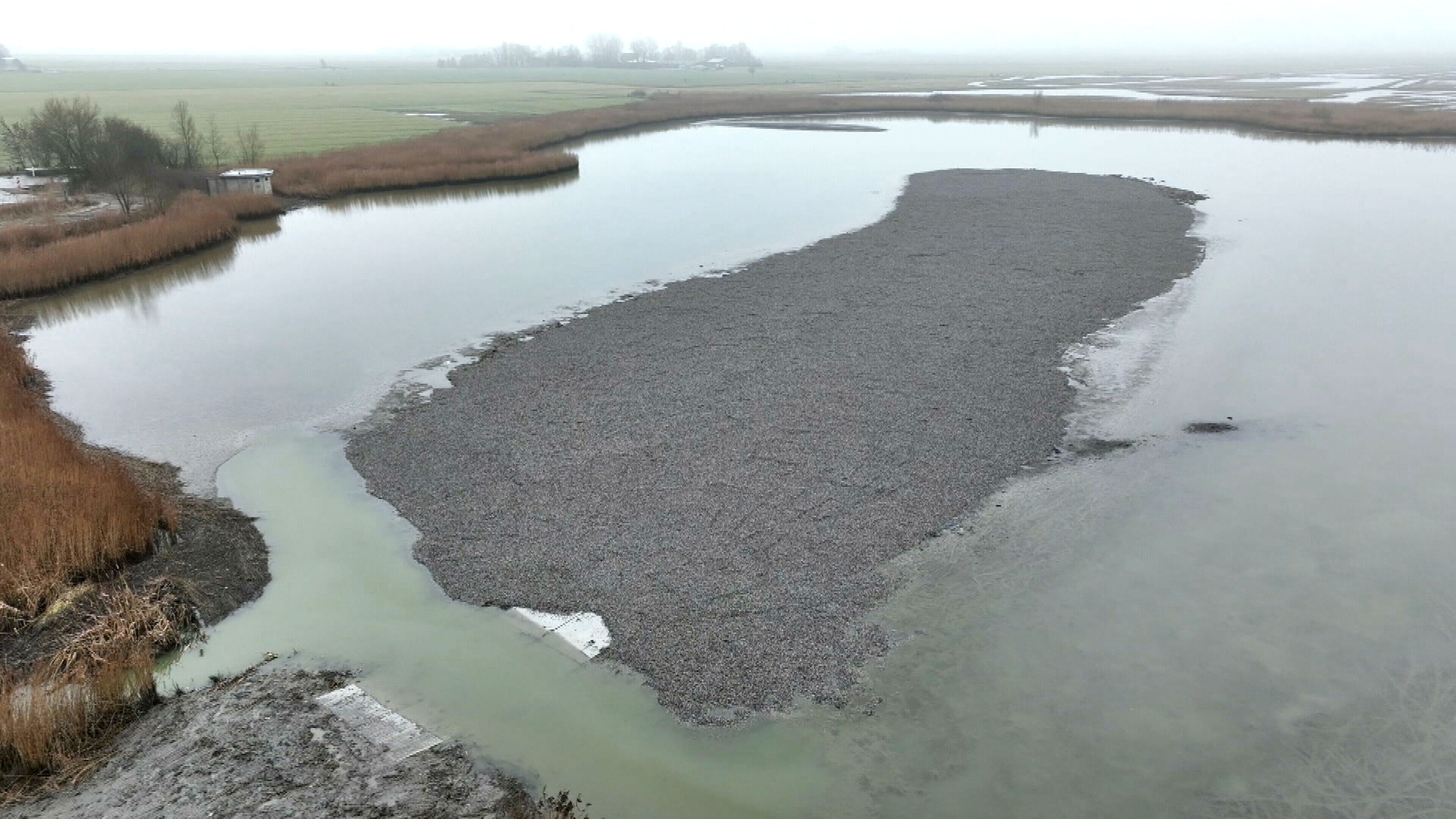Trije ton skulpen meitsje briedeilân Wide Mar klear foar nij seizoen