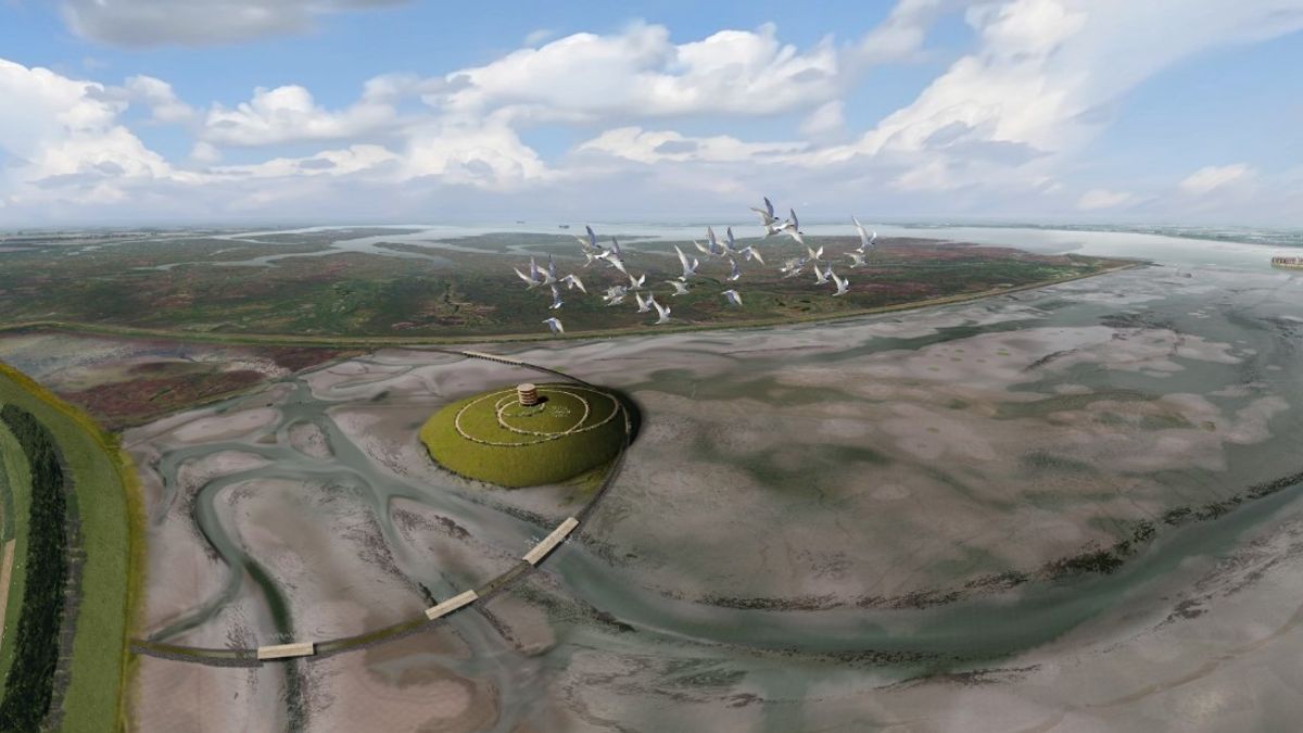 Wie durft? Provincie zoekt baas voor toren met uitzicht op Hedwige