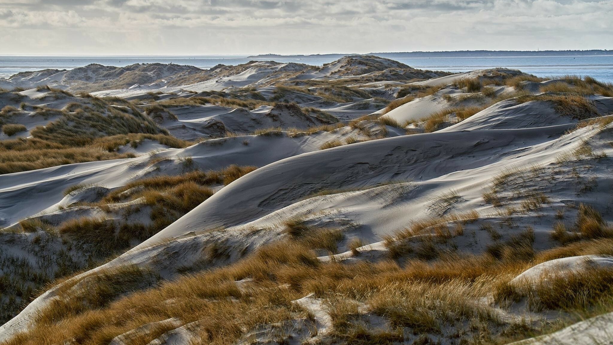 Wolst fersideboartsje foar speurhûnen? Plysje op Skylge siket frijwilligers