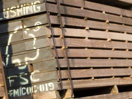 Houtimporteurs verdacht van handelen in illegaal gekapt hardhout