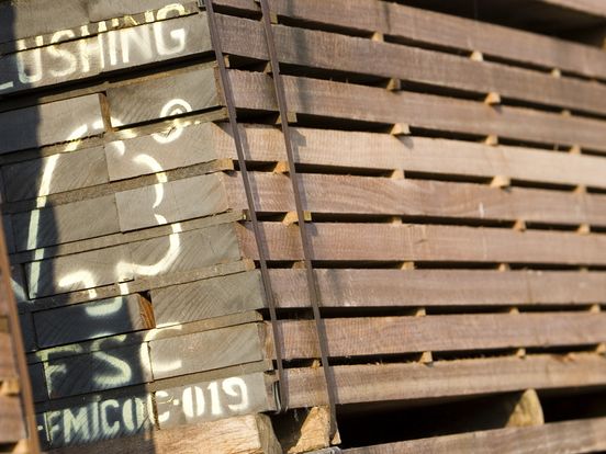 Houtimporteurs verdacht van handelen in illegaal gekapt hardhout