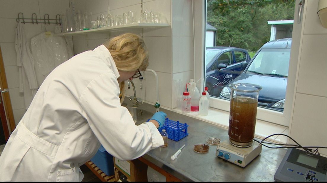 Een medewerker van Colsen aan het werk in het laboratorium