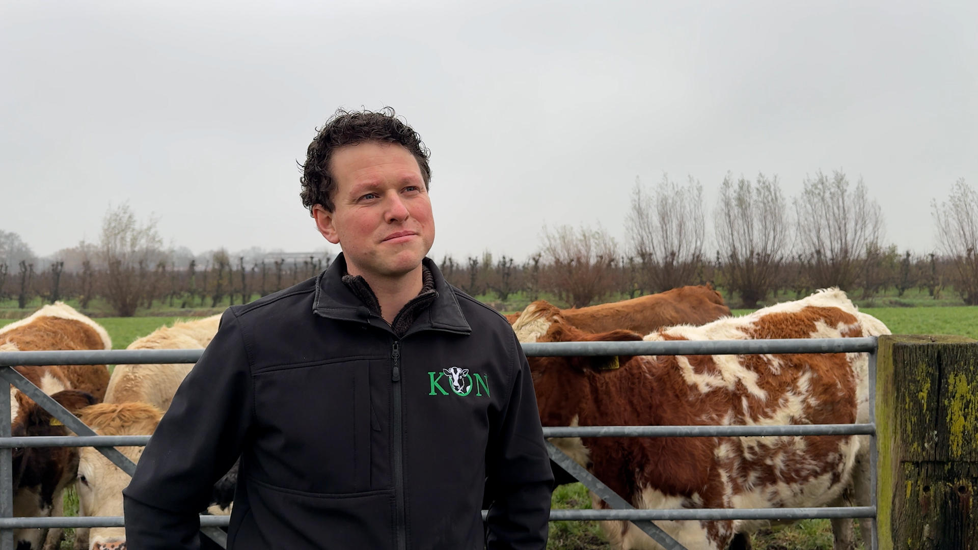 Stikstofplannen provincie Utrecht klap voor boeren: 'Het voelt als een pistool tegen je hoofd'