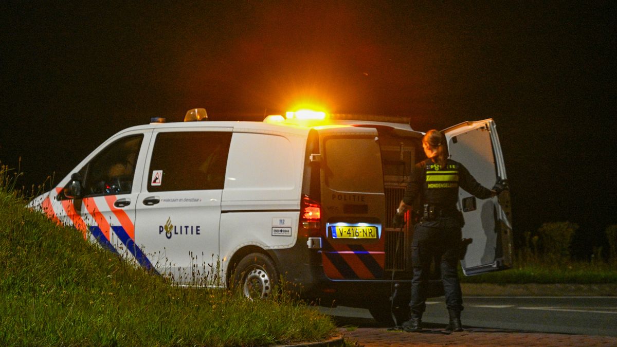 Politie doet grote zoekactie naar wapen bij Frieschepalen
