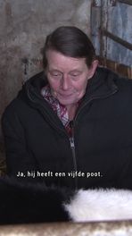 Kalf met de vijf poten