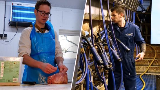 Documentaire 'De Platte Droom' volgt jonge boeren bij overname familiebedrijf