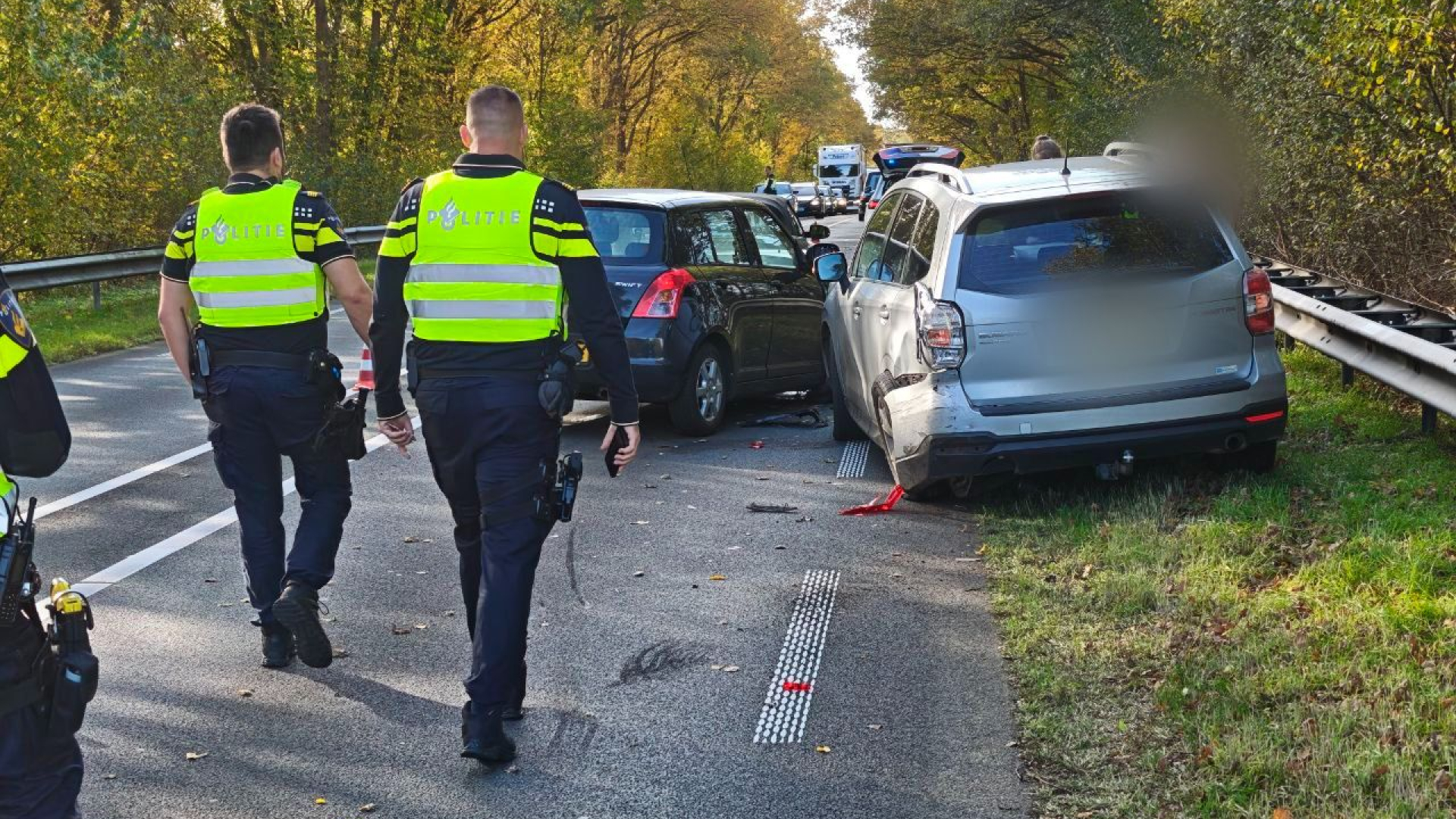 Botsing door loslopende hond