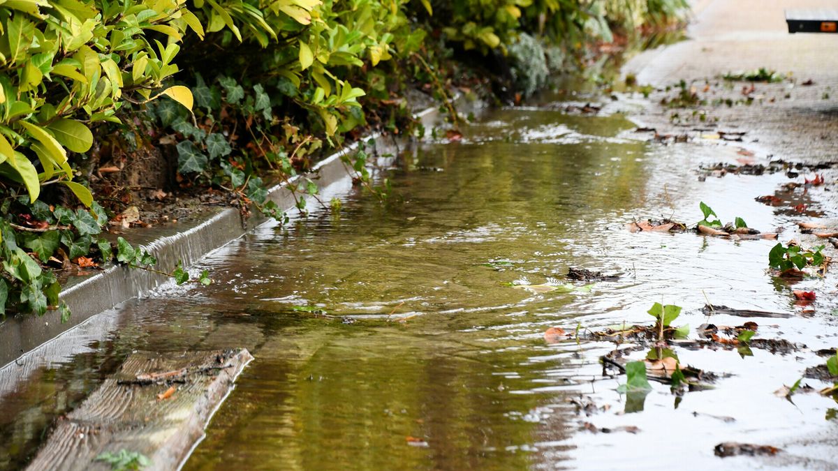 Op meerdere plekken geen water in West-Zeeuws-Vlaanderen