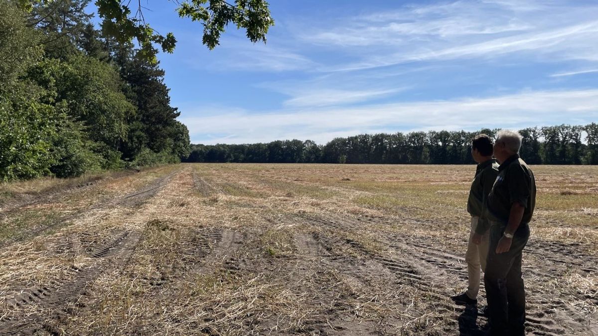 Van landbouwgrond naar natuurbegraafplaats: 'Bewoners vragen of ze nu al een plekje kunnen reservere