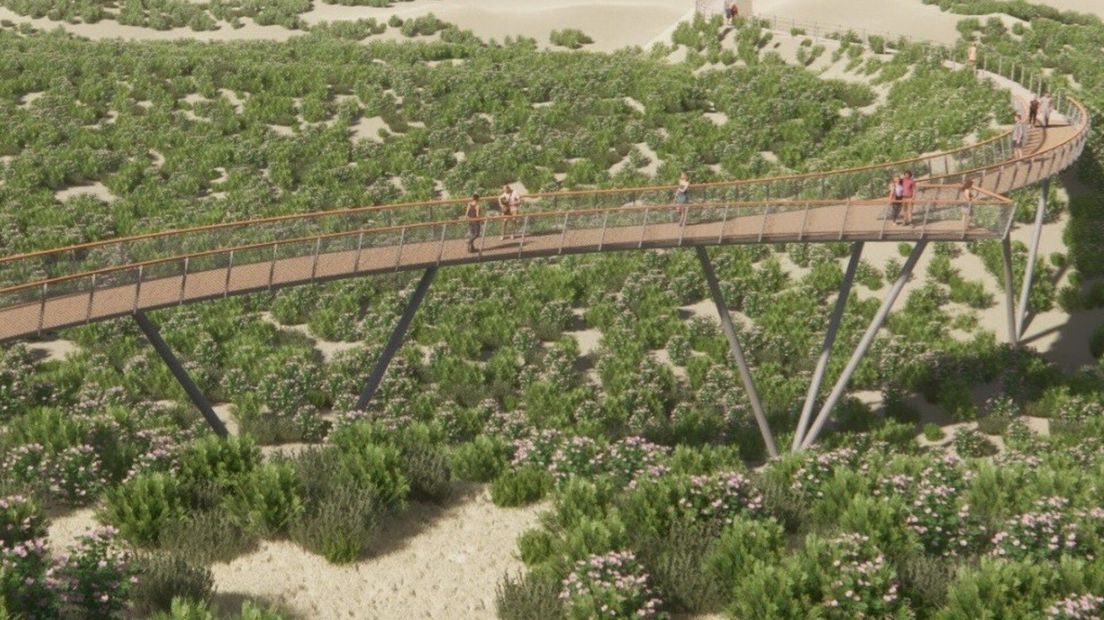 Kritiek op loopbrug Oranjezon: Duinbehoud overweegt gang naar Raad van ...