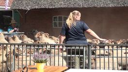 Sjonnie is bevorderd tot belhamel