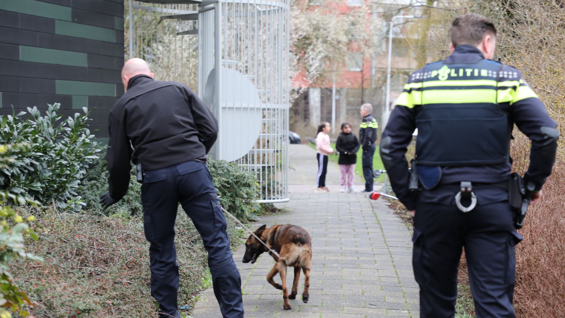 Politie Lost Waarschuwingsschoten In Leiden - Omroep West