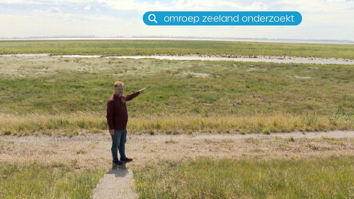 140 miljoen euro naar natuurherstel en het gaat nog steeds slecht met de Westerschelde
