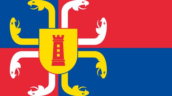 Gemeente Sittard-Geleen heeft eindelijk vlag en wapen: wat nu? Nieuws