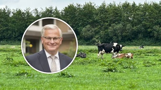 'Stikstofbrief moet niet van tafel, maar op tafel en wij als provincie om tafel' Home