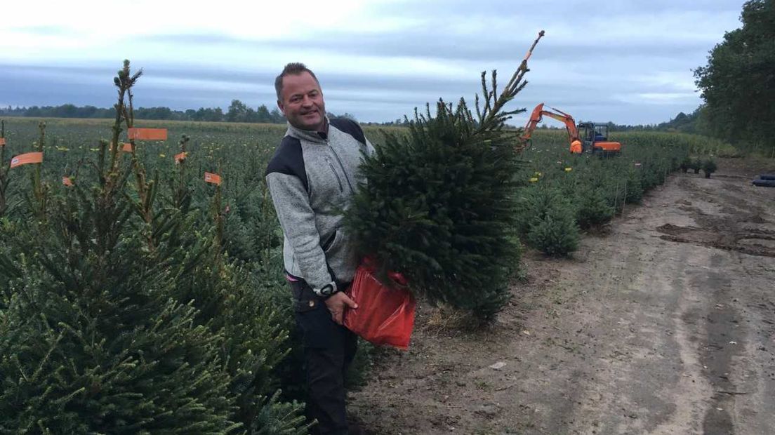 Brinkman en zijn kerstbomen.