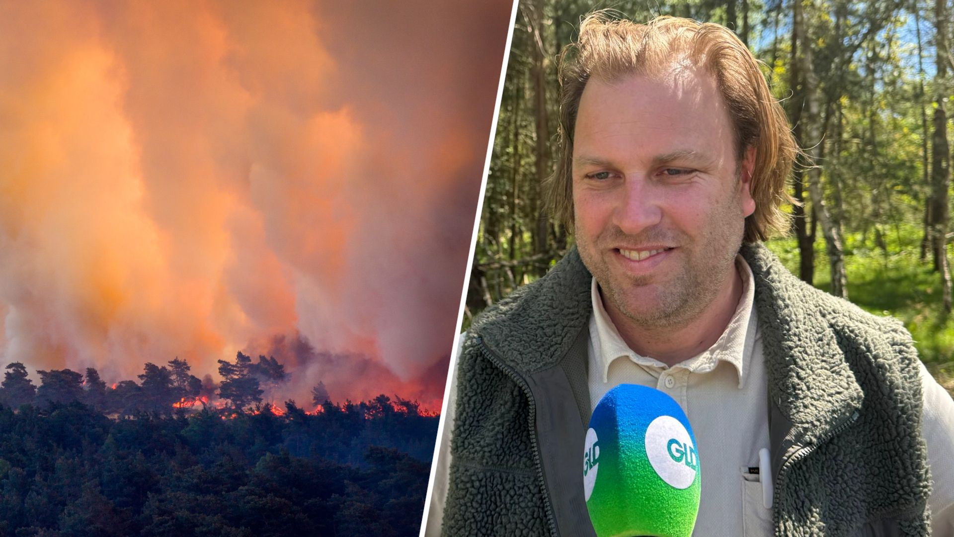 'De brand bij 't Harde is een ecologische ramp': oud-boswachter wil met Defensie om tafel